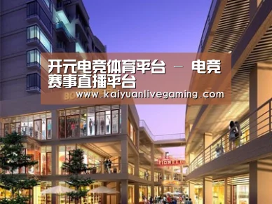 案例展示一