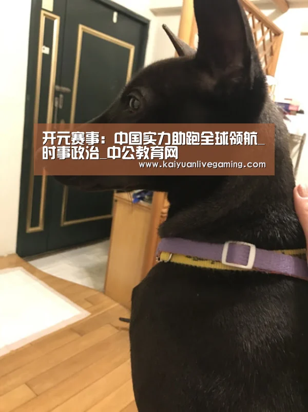 开元赛事：中国实力助跑全球领航_时事政治_中公教育网